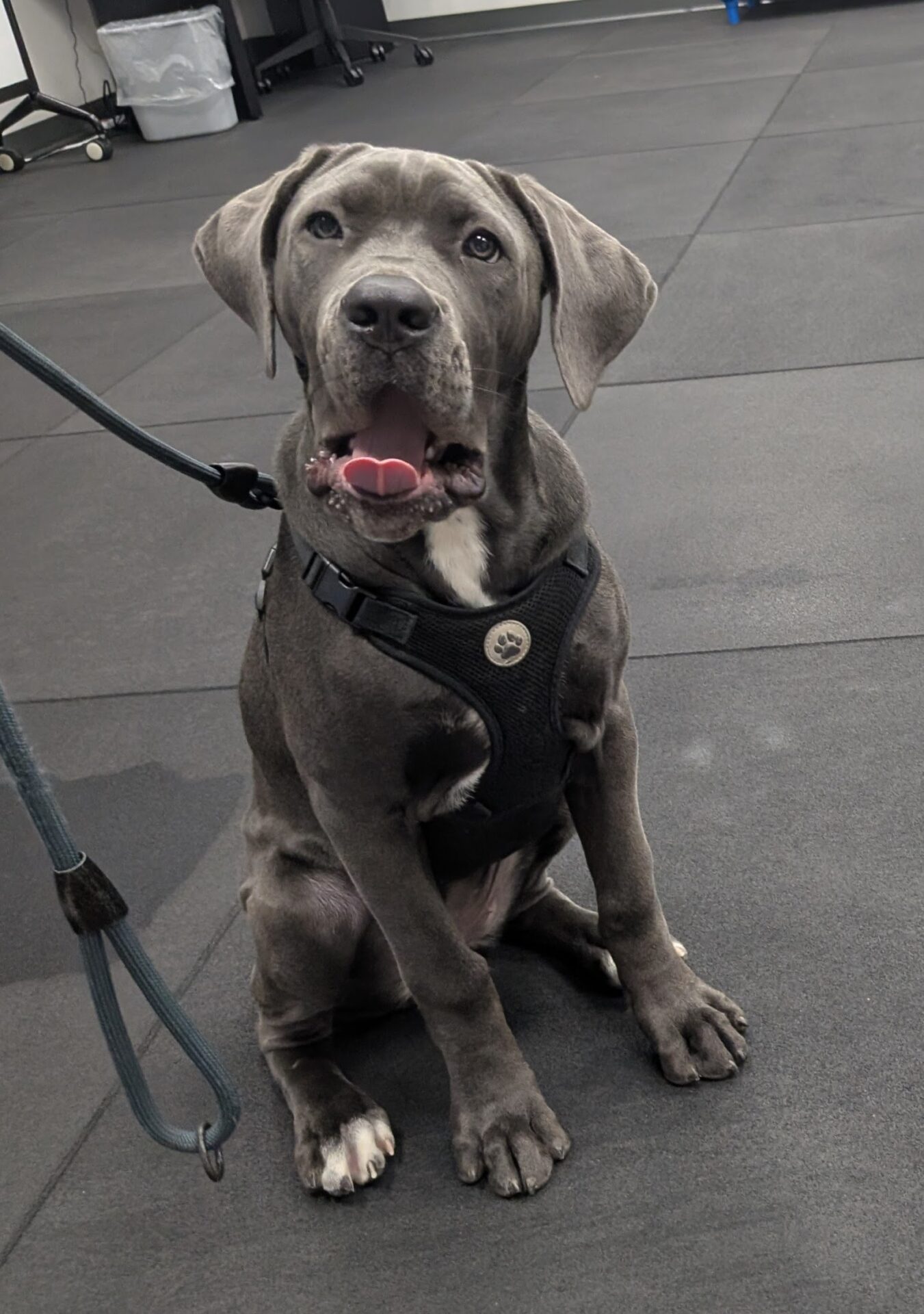 Copy of PXL_20250922_141613897